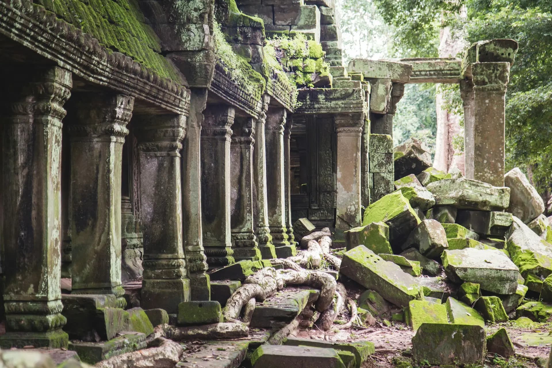 Cambodia landscape