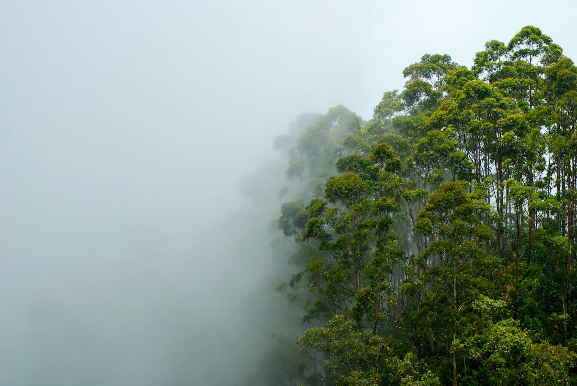 Sri Lanka image 3